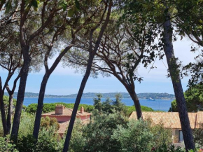 Maison 4 pièces avec piscines à 250m des plages, 1km du centre-ville, Wi-Fi, animaux acceptés - FR-1-780-13